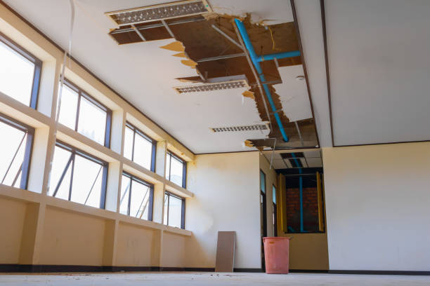 Best Ceiling water damage repair  in Lanster, CA