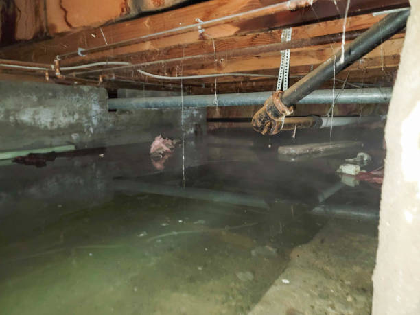 Best Flood restoration services  in Lanster, CA