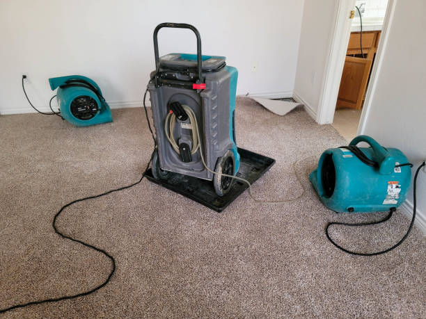 Best Water damage cleanup near me  in Lanster, CA