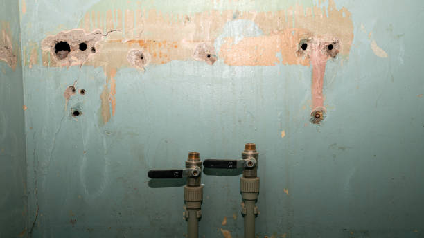 Best Water damage restoration near me  in Lanster, CA
