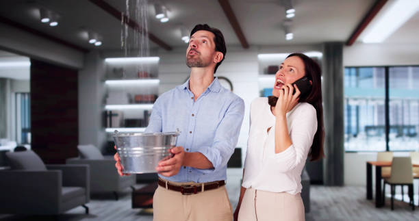Best Flood damage cleanup  in Lanster, CA