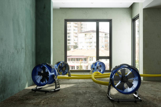 Best Water damage restoration near me  in Lanster, CA