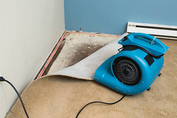 Best Water damage restoration cost  in Lanster, CA
